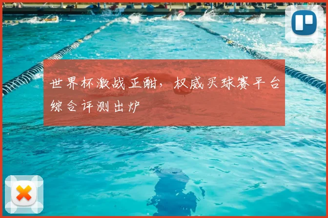 世界杯激战正酣，权威买球赛平台综合评测出炉