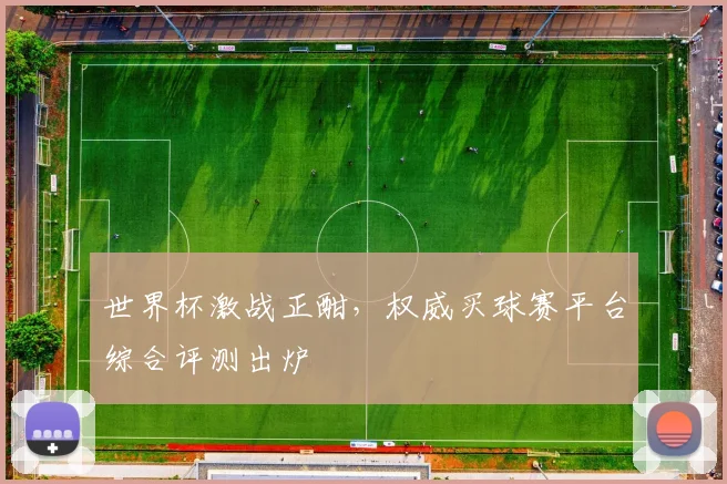 世界杯激战正酣，权威买球赛平台综合评测出炉
