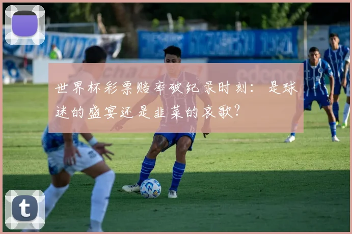 世界杯彩票赔率破纪录时刻：是球迷的盛宴还是韭菜的哀歌？