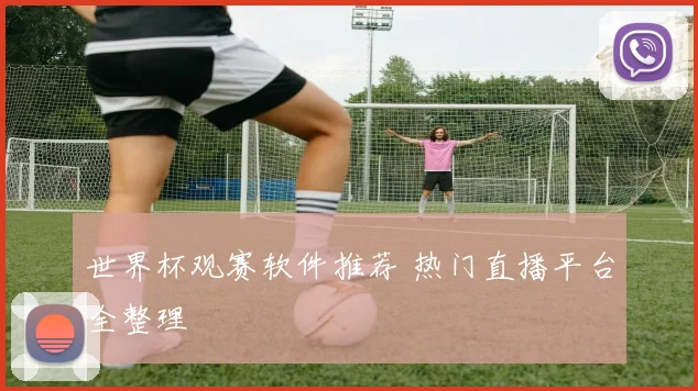 世界杯观赛软件推荐 热门直播平台全整理