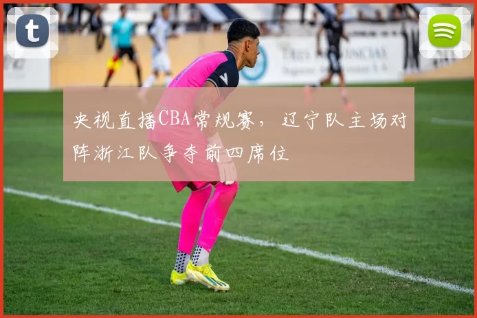 央视直播CBA常规赛，辽宁队主场对阵浙江队争夺前四席位