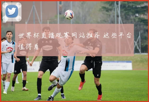 世界杯直播观赛网站推荐 这些平台值得看