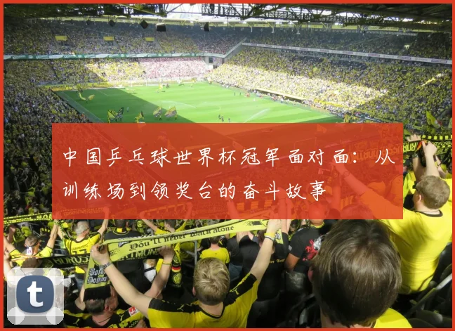 中国乒乓球世界杯冠军面对面：从训练场到领奖台的奋斗故事