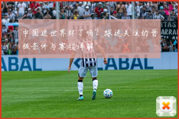 中国进世界杯了吗？球迷关注的晋级条件与赛程详解