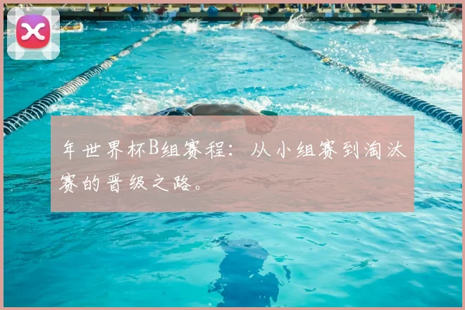 年世界杯B组赛程:从小组赛到淘汰赛的晋级之路。