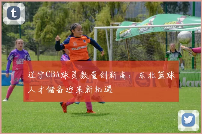 辽宁CBA球员数量创新高，东北篮球人才储备迎来新机遇