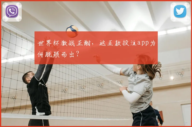 世界杯激战正酣，这五款投注app为何脱颖而出？