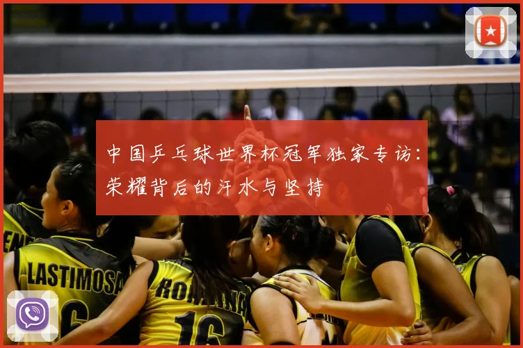 中国乒乓球世界杯冠军独家专访：荣耀背后的汗水与坚持