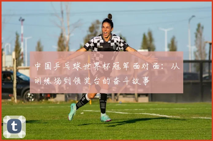 中国乒乓球世界杯冠军面对面：从训练场到领奖台的奋斗故事